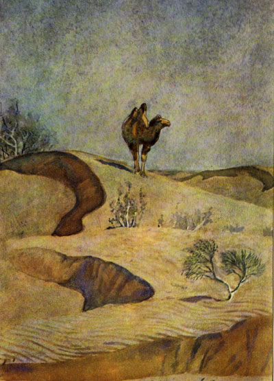 Рисунок 4. Леса песков