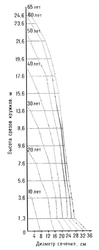 График продольного (половинного) сечения ствола по данным анализа.