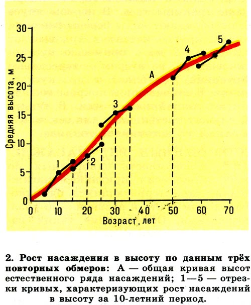 2. Рост насаждений в высоту по данным трёх обмеров: А - общая кривая высот естественного ряда насаждений, 1-5 - отрезки кривых, характеризующих рост насаждений в высоту за 10-летний период.