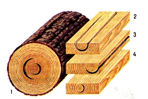 Олупная трещина: 1 - в круглых лесоматериалах, 2-4 - в пиломатериалах (пластевая, кромочная, торцовая)