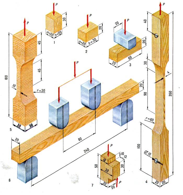 Образцы и схемы основных испытаний древесины на прочность: 1 - сжатие вдоль волокон, 2 - сжатие поперёк, 3 - местное смятие поперёк волокон, 4 - растяжение вдоль волокон, 5 - растяжение поперёк волокон (радиальное, 6 - статический изгиб, 7 - скалывание вдоль волокон (тангенциальное).